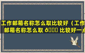 工作邮箱名称怎么取比较好（工作邮箱名称怎么取 🐛 比较好一点）